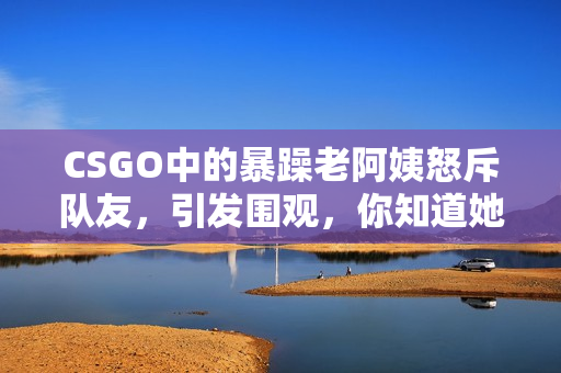 CSGO中的暴躁老阿姨怒斥队友，引发围观，你知道她的故事吗？