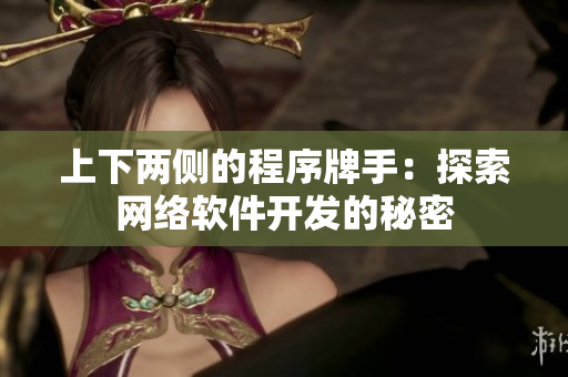 上下两侧的程序牌手：探索网络软件开发的秘密