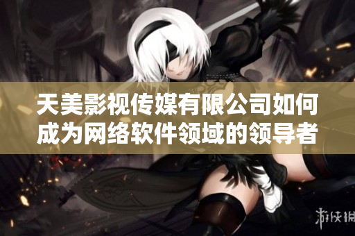 天美影视传媒有限公司如何成为网络软件领域的领导者？