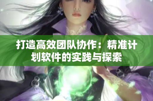 打造高效团队协作：精准计划软件的实践与探索