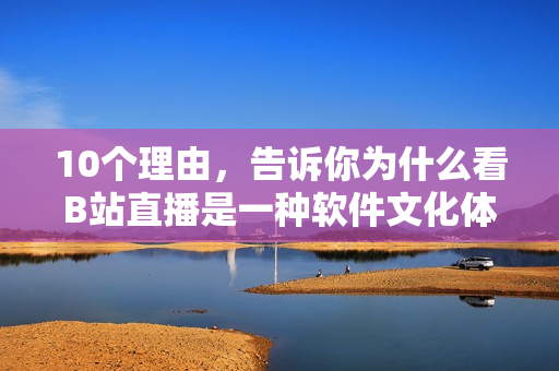 10个理由，告诉你为什么看B站直播是一种软件文化体验