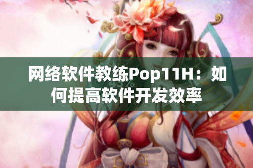 网络软件教练Pop11H：如何提高软件开发效率