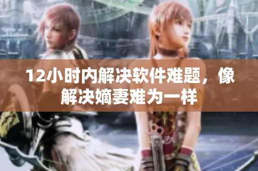12小时内解决软件难题，像解决嫡妻难为一样
