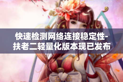 快速检测网络连接稳定性-扶老二轻量化版本现已发布