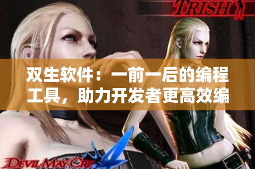 双生软件：一前一后的编程工具，助力开发者更高效编写