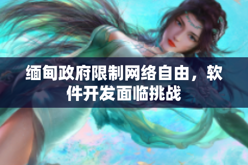 缅甸政府限制网络自由，软件开发面临挑战