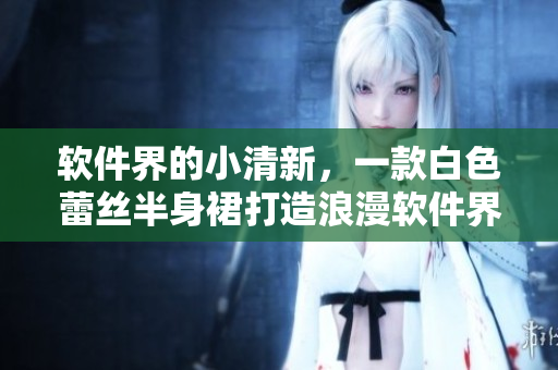 软件界的小清新，一款白色蕾丝半身裙打造浪漫软件界。