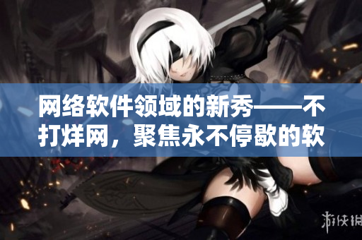 网络软件领域的新秀——不打烊网，聚焦永不停歇的软件世界！