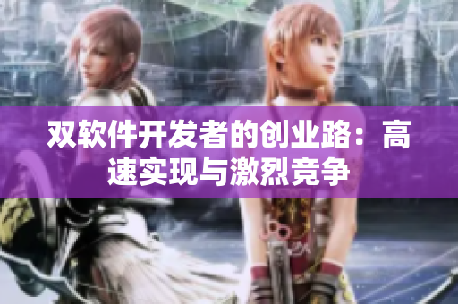 双软件开发者的创业路：高速实现与激烈竞争
