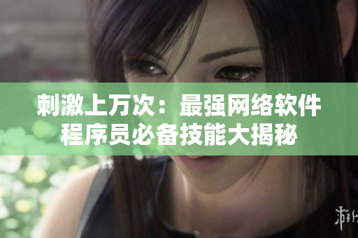 刺激上万次：最强网络软件程序员必备技能大揭秘