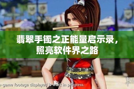 翡翠手镯之正能量启示录，照亮软件界之路