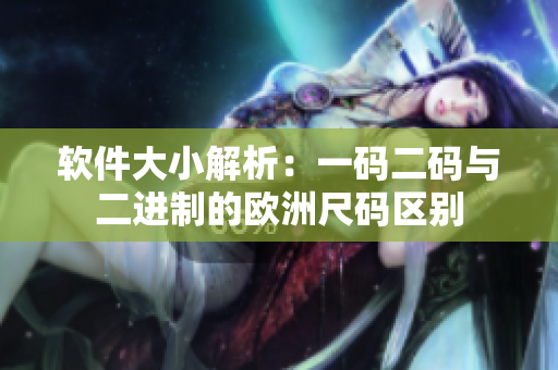 软件大小解析：一码二码与二进制的欧洲尺码区别