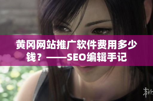 黄冈网站推广软件费用多少钱？——SEO编辑手记