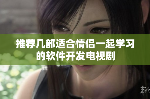 推荐几部适合情侣一起学习的软件开发电视剧