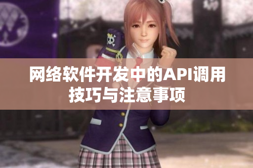 网络软件开发中的API调用技巧与注意事项