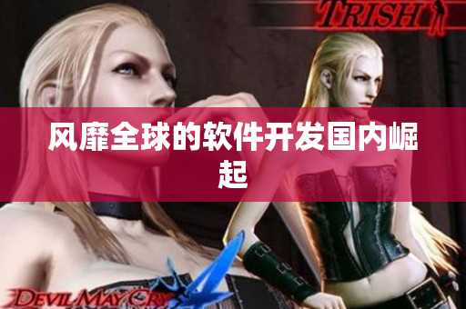 风靡全球的软件开发国内崛起