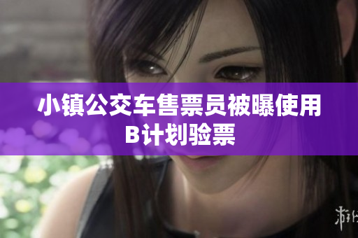 小镇公交车售票员被曝使用B计划验票
