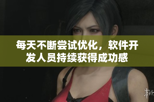 每天不断尝试优化，软件开发人员持续获得成功感