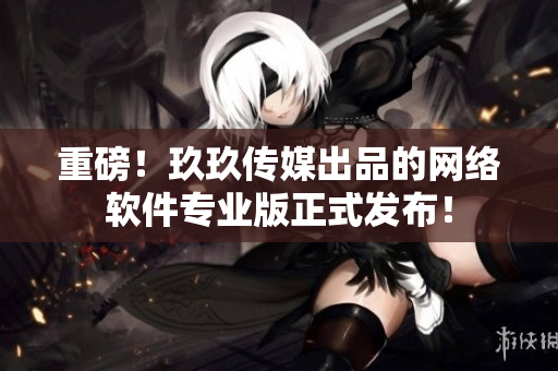 重磅！玖玖传媒出品的网络软件专业版正式发布！