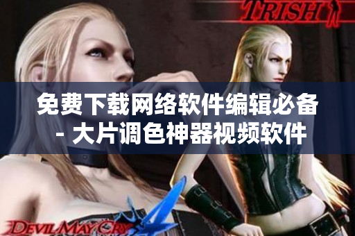 免费下载网络软件编辑必备 - 大片调色神器视频软件