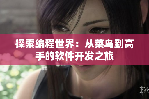 探索编程世界：从菜鸟到高手的软件开发之旅