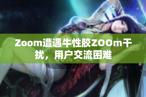 Zoom遭遇牛性胶ZOOm干扰，用户交流困难