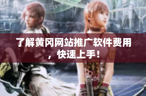了解黄冈网站推广软件费用，快速上手！