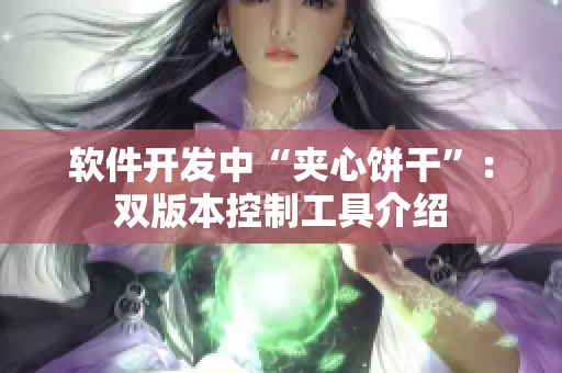 软件开发中“夹心饼干”：双版本控制工具介绍