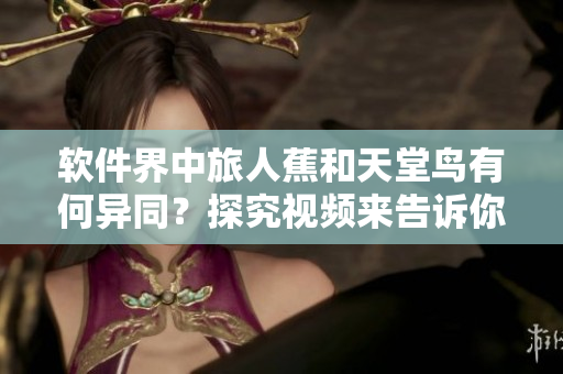 软件界中旅人蕉和天堂鸟有何异同？探究视频来告诉你