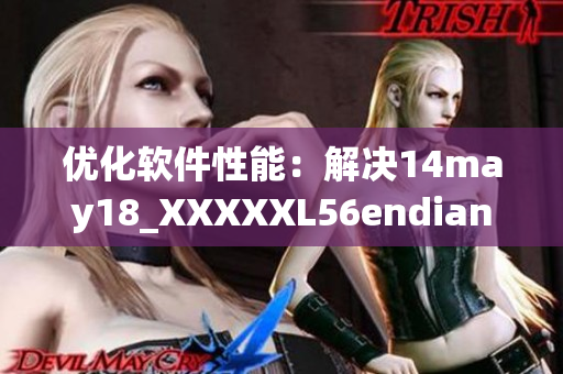 优化软件性能：解决14may18_XXXXXL56endian缅北问题