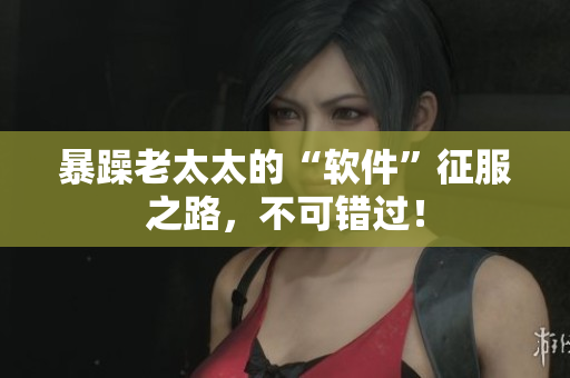暴躁老太太的“软件”征服之路，不可错过！