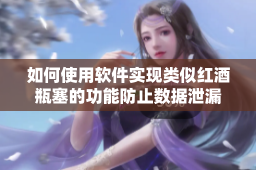 如何使用软件实现类似红酒瓶塞的功能防止数据泄漏
