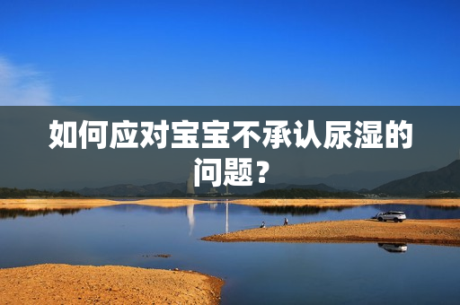 如何应对宝宝不承认尿湿的问题？