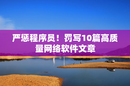 严惩程序员！罚写10篇高质量网络软件文章
