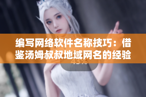 编写网络软件名称技巧：借鉴汤姆叔叔地域网名的经验