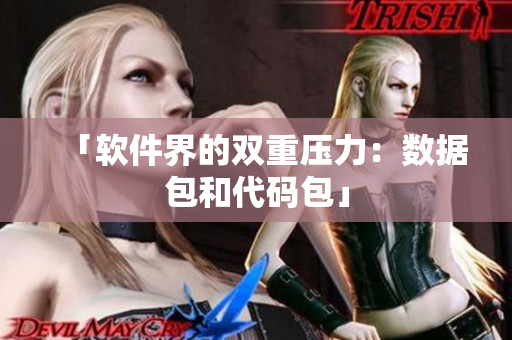 「软件界的双重压力：数据包和代码包」