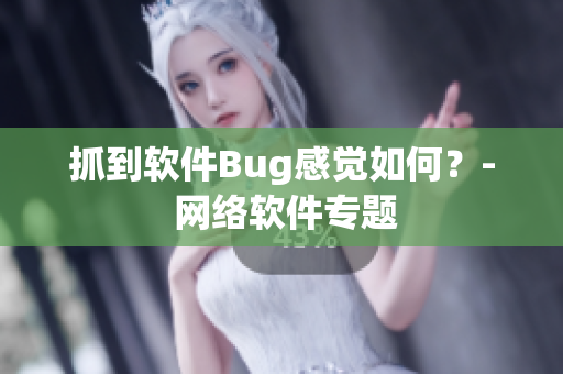 抓到软件Bug感觉如何？- 网络软件专题