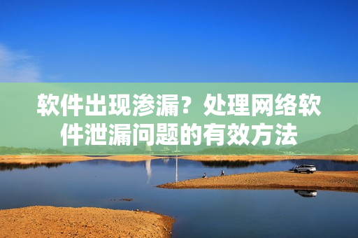 软件出现渗漏？处理网络软件泄漏问题的有效方法