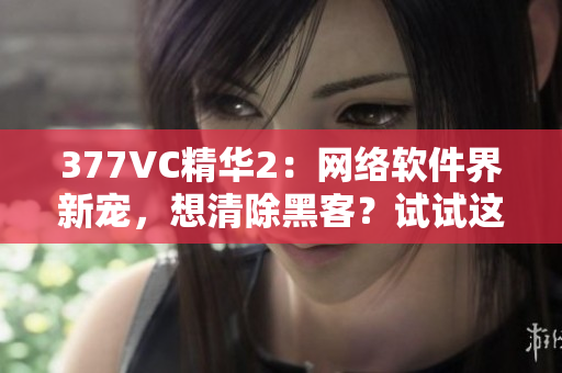 377VC精华2：网络软件界新宠，想清除黑客？试试这款软件祛斑！
