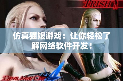 仿真猫娘游戏：让你轻松了解网络软件开发！