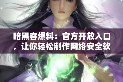 暗黑客爆料：官方开放入口，让你轻松制作网络安全软件