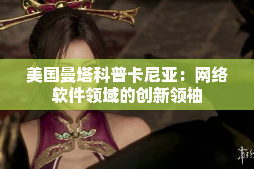 美国曼塔科普卡尼亚：网络软件领域的创新领袖