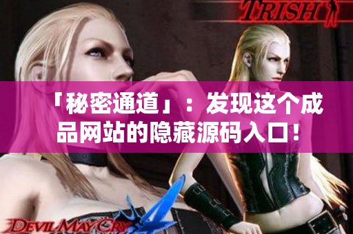 「秘密通道」：发现这个成品网站的隐藏源码入口！