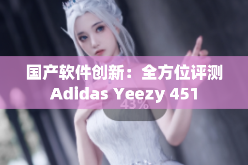 国产软件创新：全方位评测Adidas Yeezy 451
