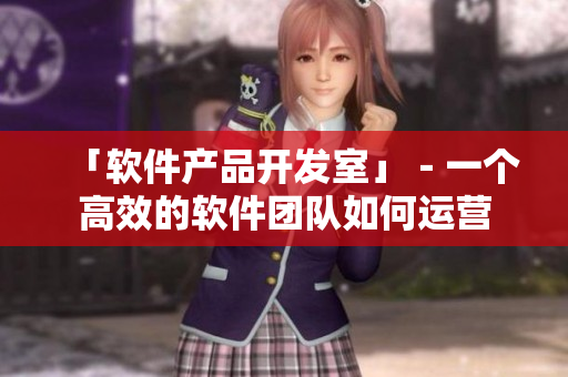 「软件产品开发室」－一个高效的软件团队如何运营