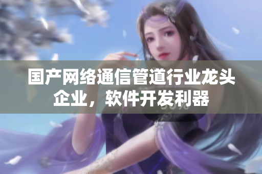国产网络通信管道行业龙头企业，软件开发利器
