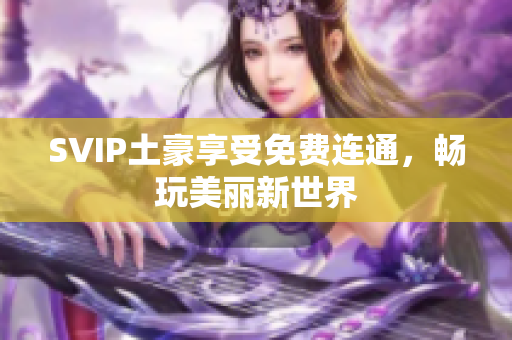 SVIP土豪享受免费连通，畅玩美丽新世界
