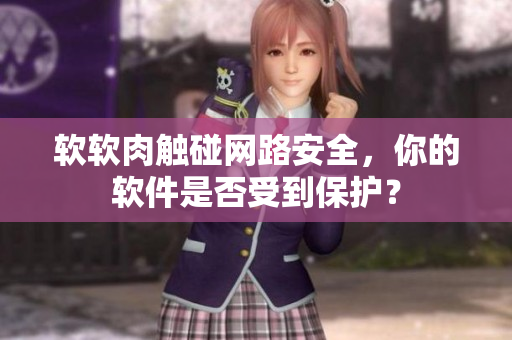 软软肉触碰网路安全，你的软件是否受到保护？