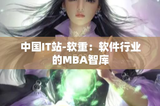中国IT站-软重：软件行业的MBA智库
