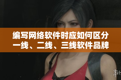 编写网络软件时应如何区分一线、二线、三线软件品牌